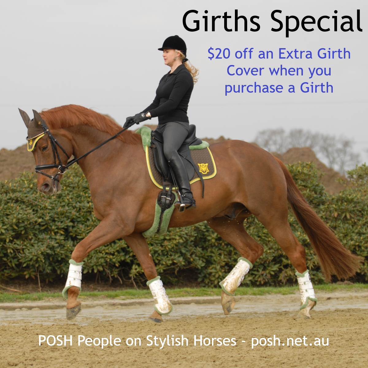 Girth Cover Special