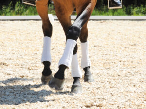 Mattes HI-PRO Horse Boots