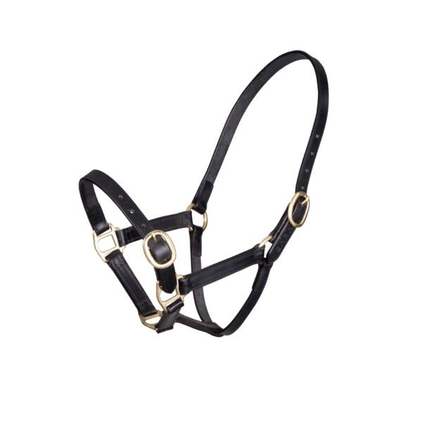 GARA Adjustable Leather Halter/Headcollar