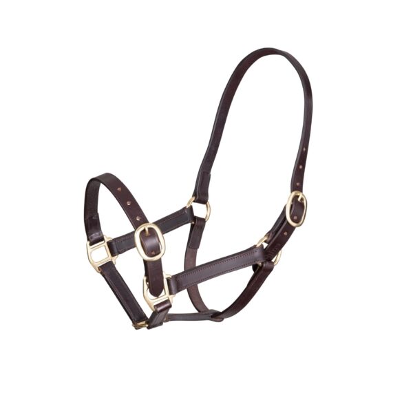 GARA Adjustable Leather Halter/Headcollar