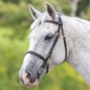 GARA Fancy Stitched Inhand Bridle