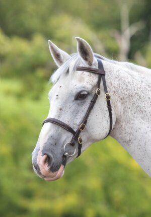 GARA Fancy Stitched Inhand Bridle