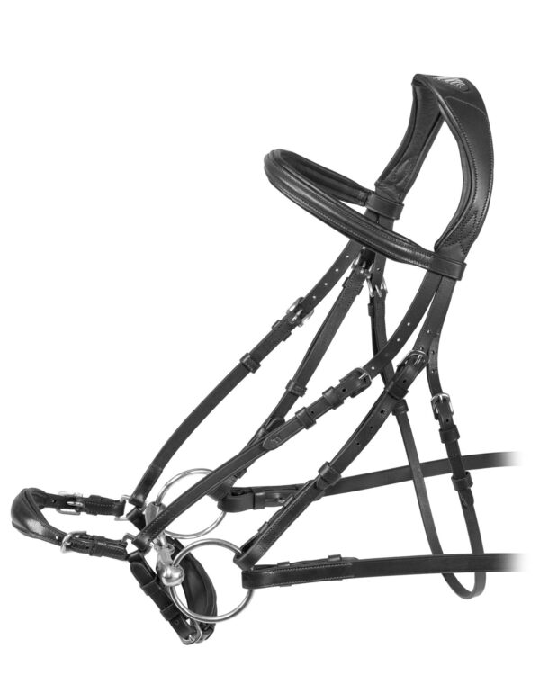 Rapida Drop Noseband Bridle