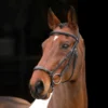 Rapida Drop Noseband Bridle
