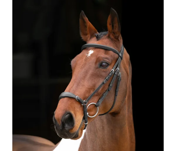 Rapida Drop Noseband Bridle