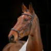 Rapida Drop Noseband Bridle