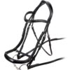 Rapida Ergonomic Curved Cavesson Noseband