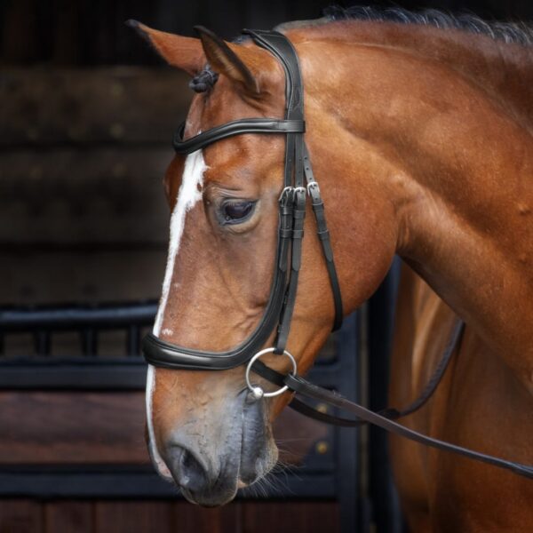 Rapida Ergonomic Curved Cavesson Bridle