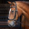 Rapida Ergonomic Curved Cavesson Noseband