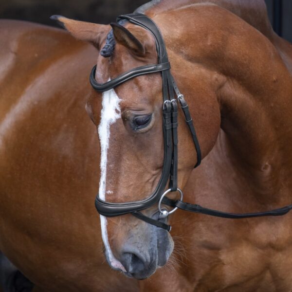 Rapida Ergonomic Curved Flash Bridle