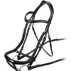 Rapida Ergonomic Curved Flash Bridle