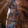 Rapida Hunter Cavesson Bridle