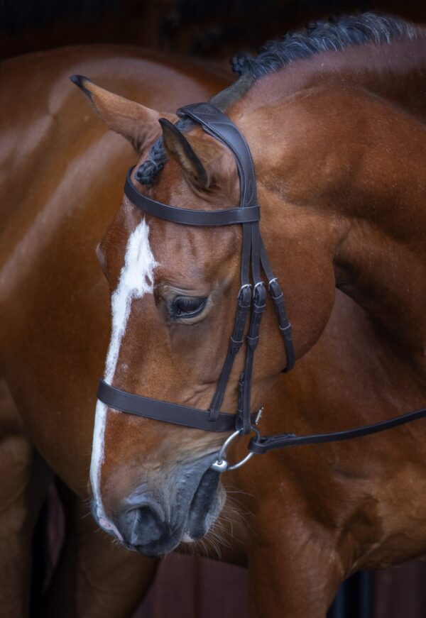 Rapida Hunter Cavesson Bridle