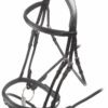 Rapida Padded Raised Flash Bridle