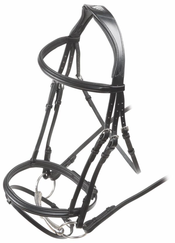 Rapida Padded Raised Flash Bridle