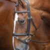 Rapida Padded Raised Flash Bridle
