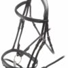 Rapida Padded Raised Flash Bridle