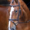 Rapida Drop Noseband