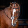 Rapida Grackle Noseband