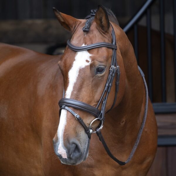 Rapida Dressage Flash Noseband