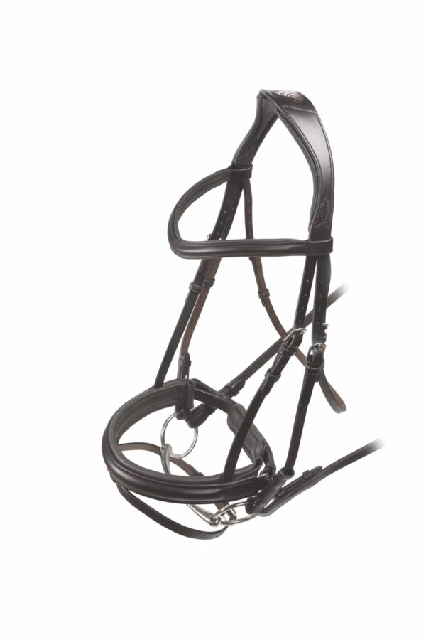 Rapida Dressage Flash Bridle