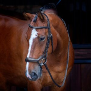 Rapida Ergonomic Flash Bridle