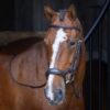 Rapida Ergonomic Flash Bridle