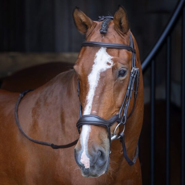 Rapida Ergonomic Flash Bridle