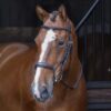 Rapida Rolled Padded Cavesson Noseband