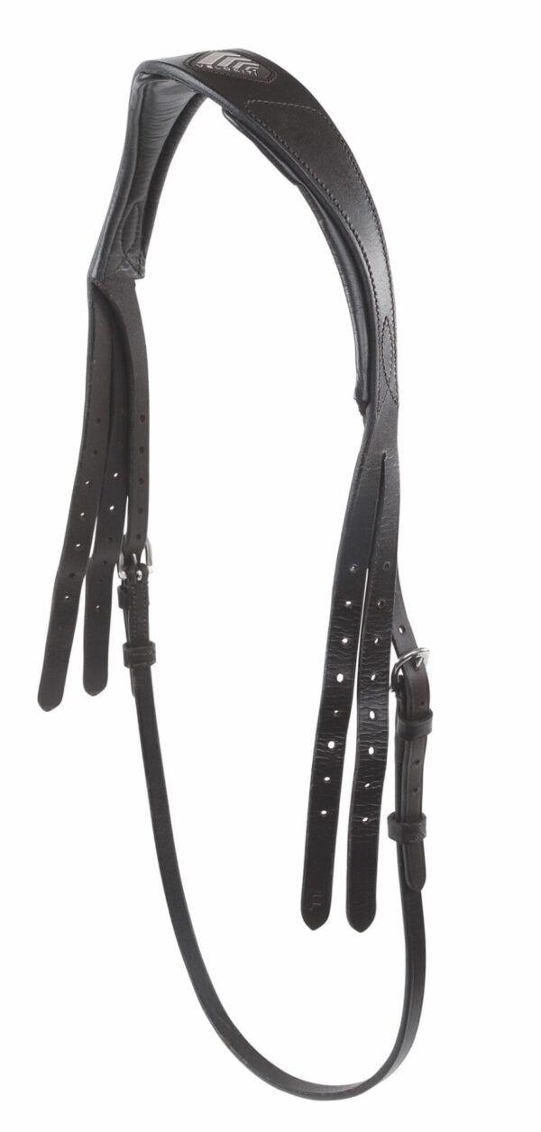 Rapida FreedomFit Headpiece