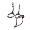 Rapida Rolled Padded Cavesson Noseband