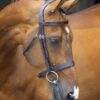 Velociti Lusso Hunter Cavesson Bridle