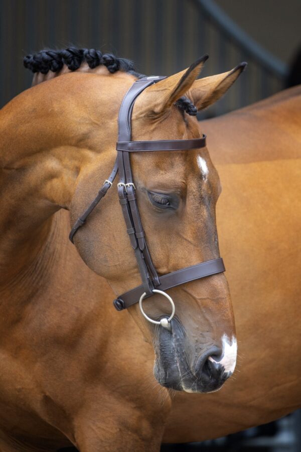 Velociti Lusso Hunter Cavesson Bridle