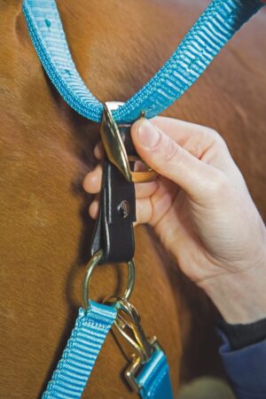 GARA Halter/Headcollar Breakaway Attachment