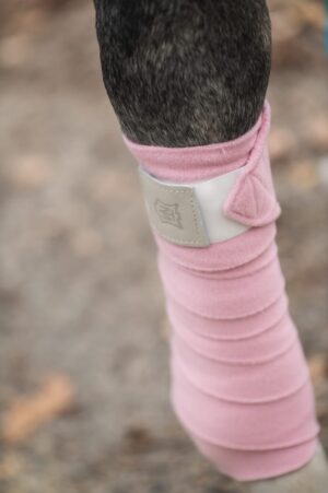 Ready to Ship! Set of 4 Mattes Bandages Blush Pink